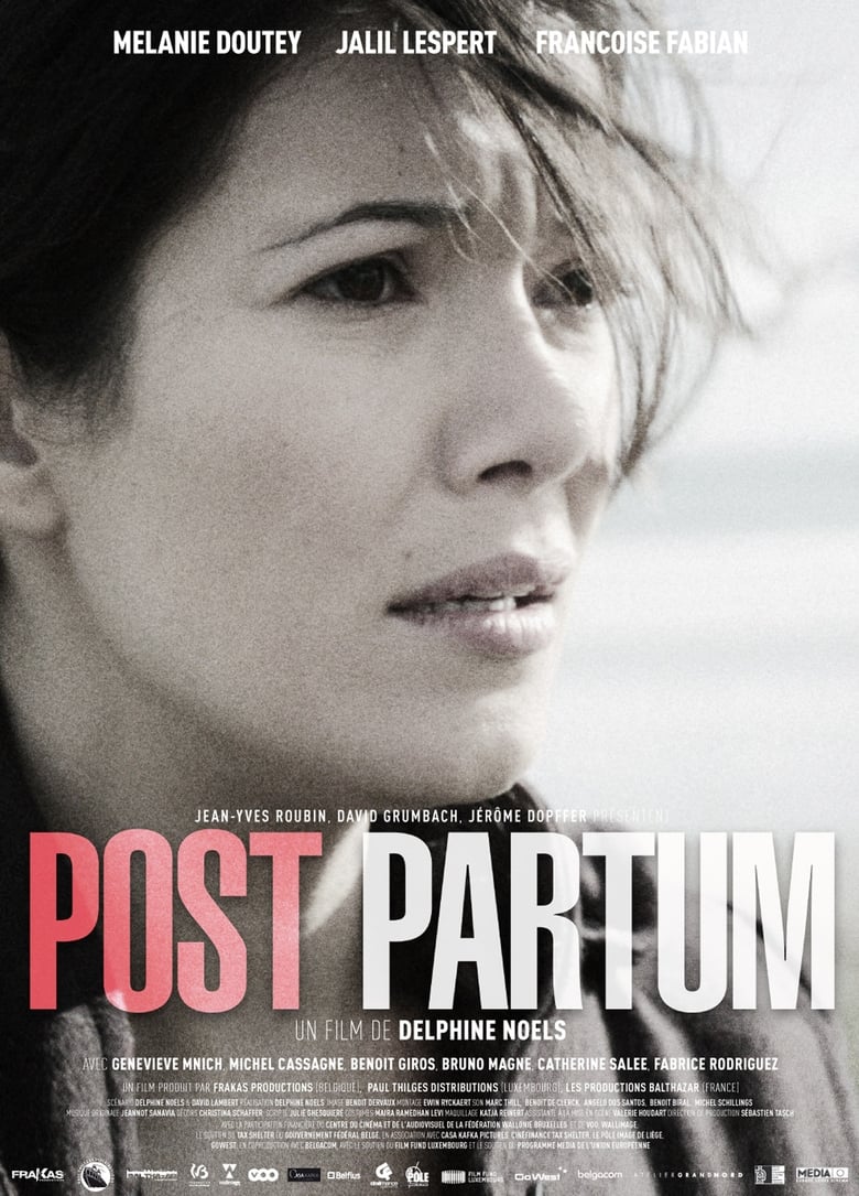 Poster of Post Partum