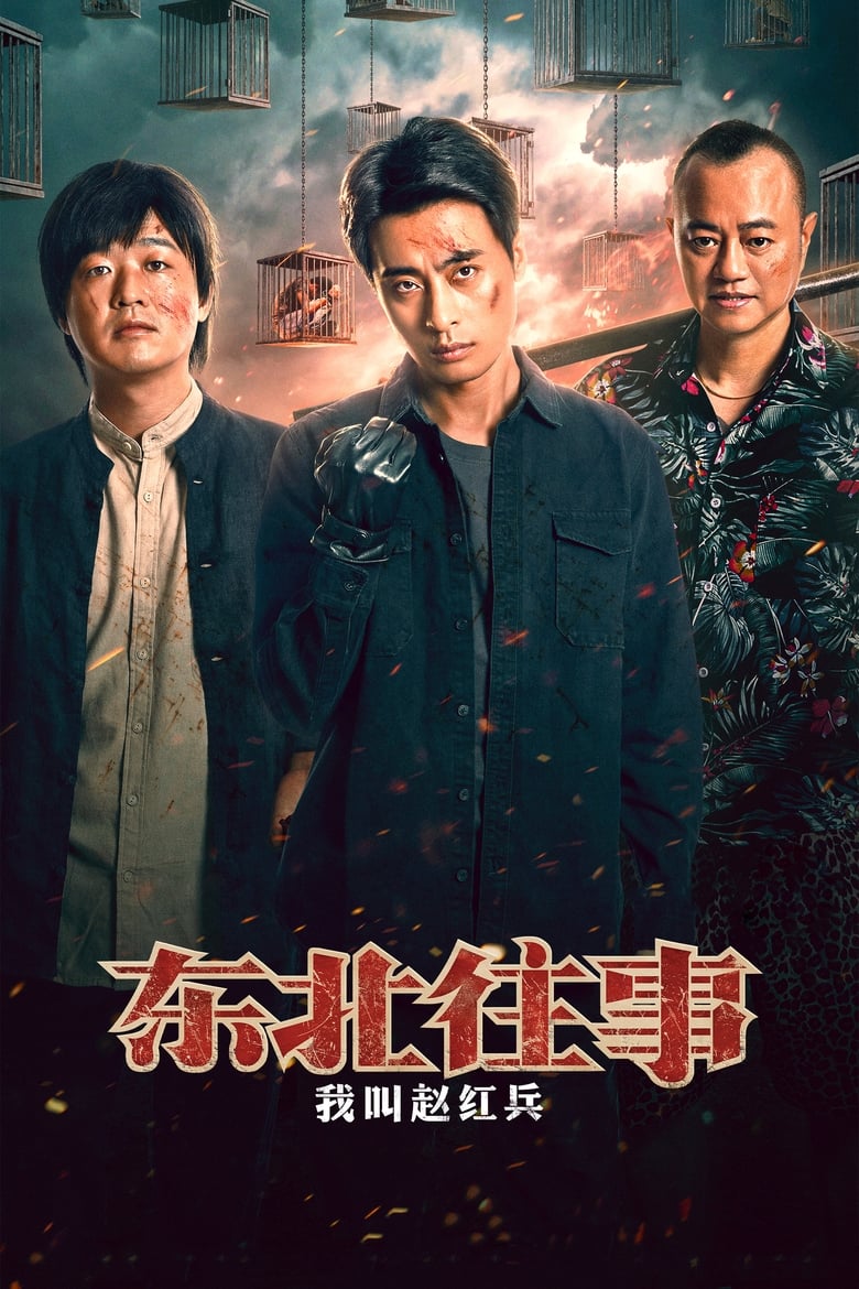 Poster of 东北往事之我叫赵红兵