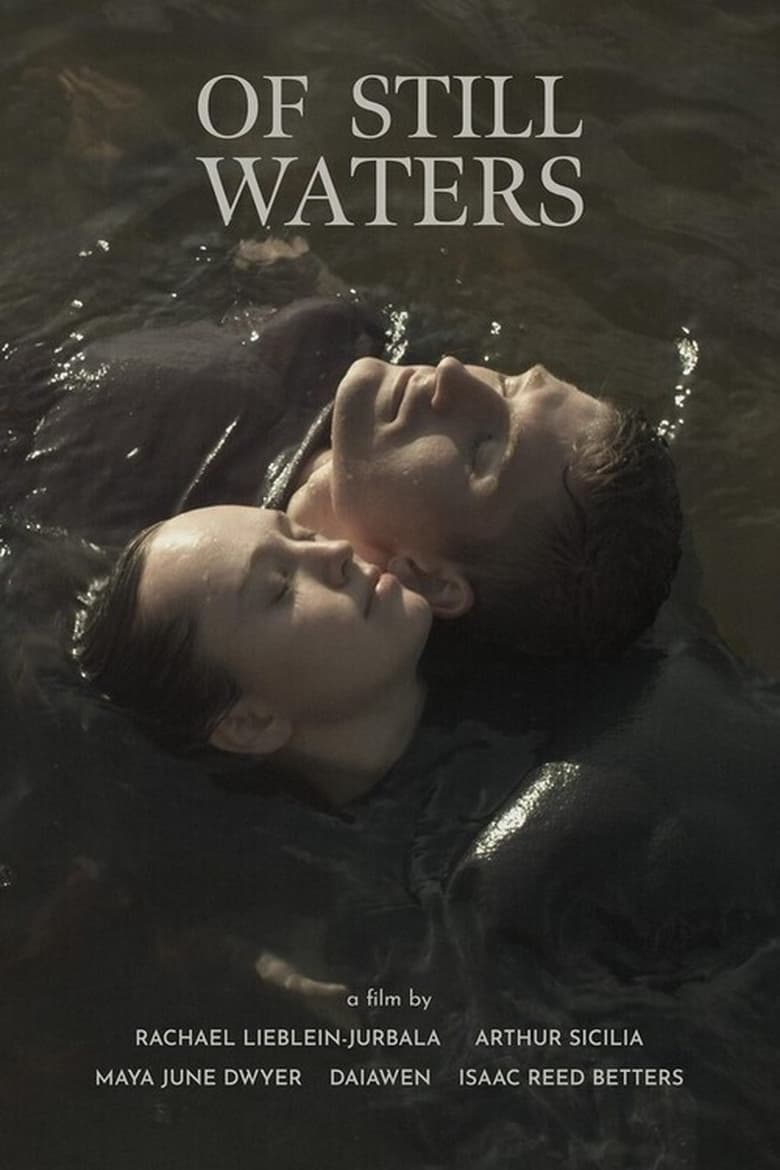 Poster of Of Still Waters