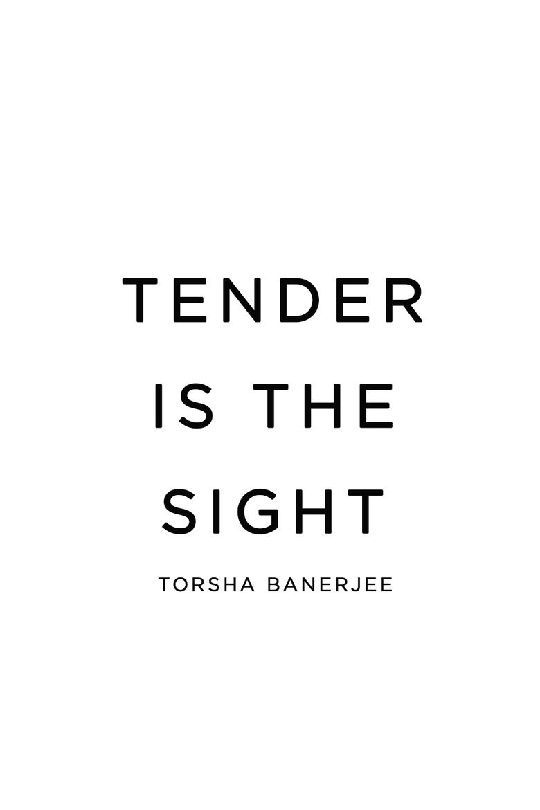 Poster of Tender Is The Sight