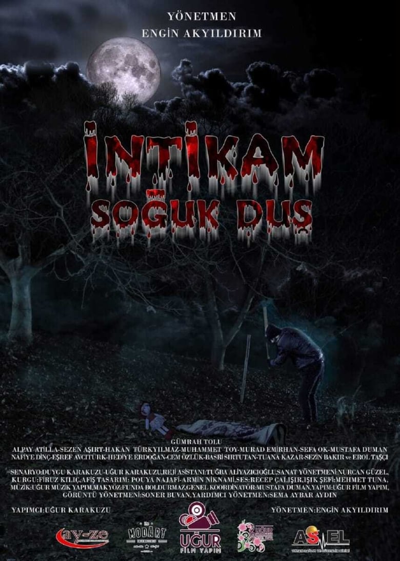 Poster of İntikam Soğuk Duş