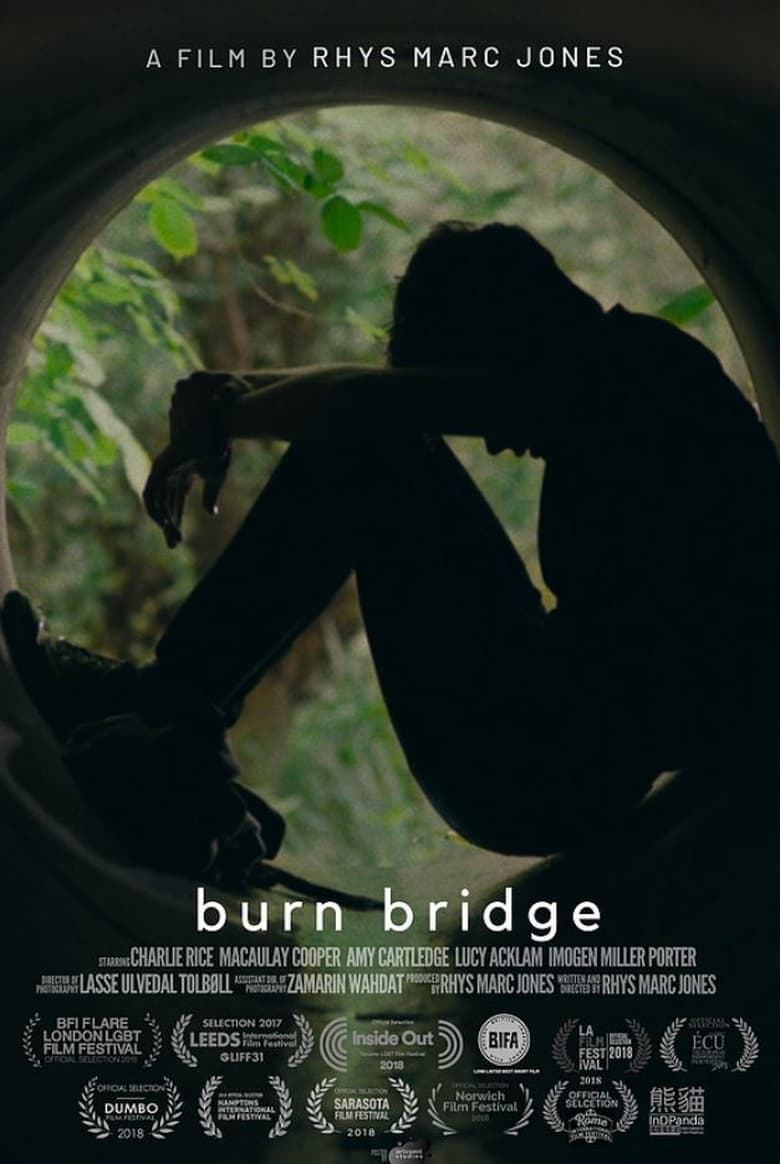 Poster of Burn Bridge