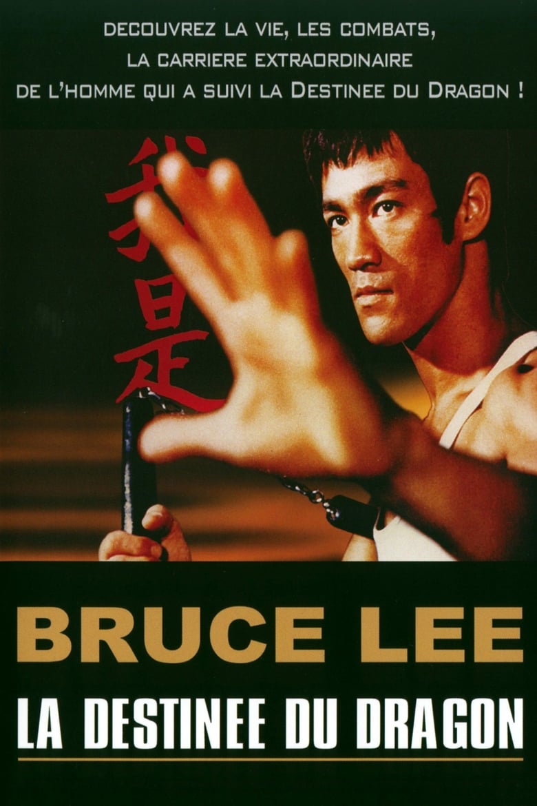 Poster of Bruce Lee - La Destinée du Dragon