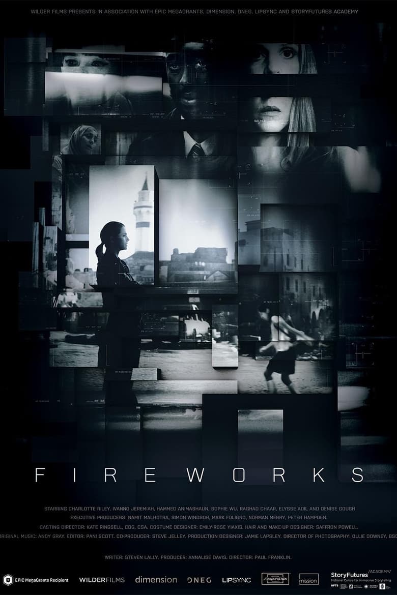 Poster of Fireworks