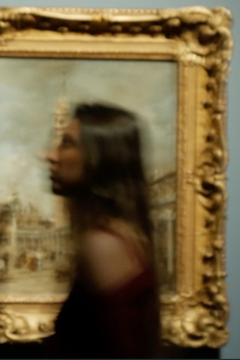 Poster of Directing a visit