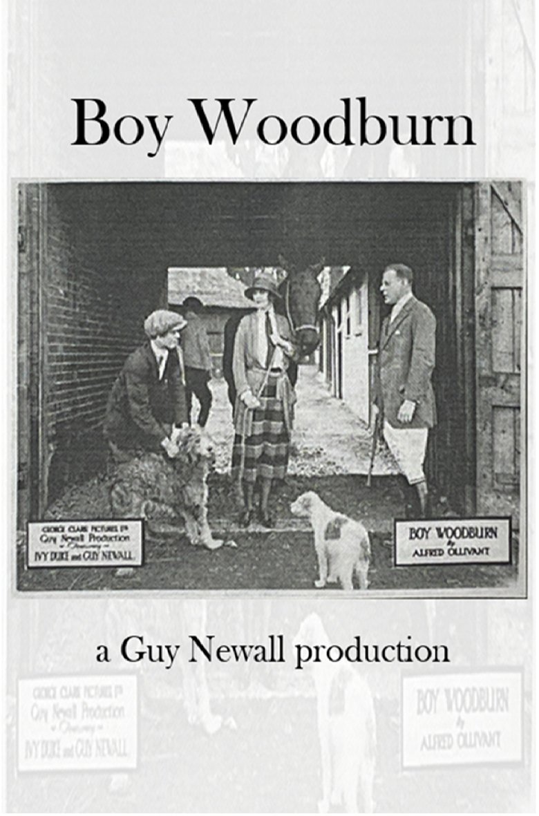 Poster of Boy Woodburn