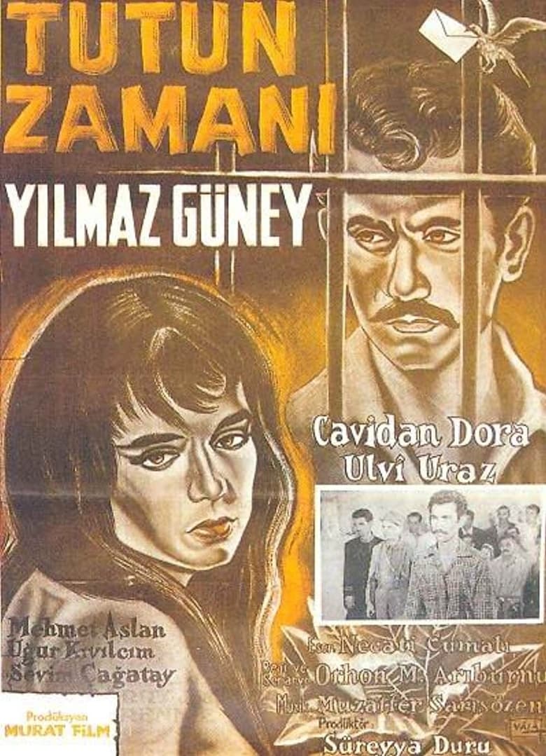 Poster of Tütün Zamanı