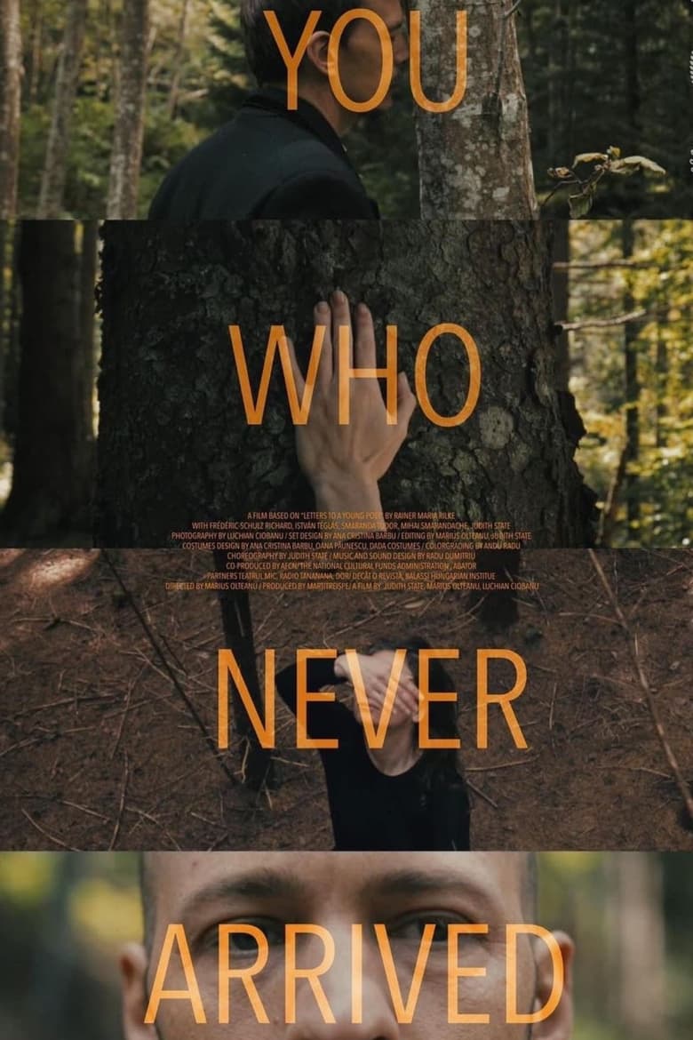 Poster of You Who Never Arrived