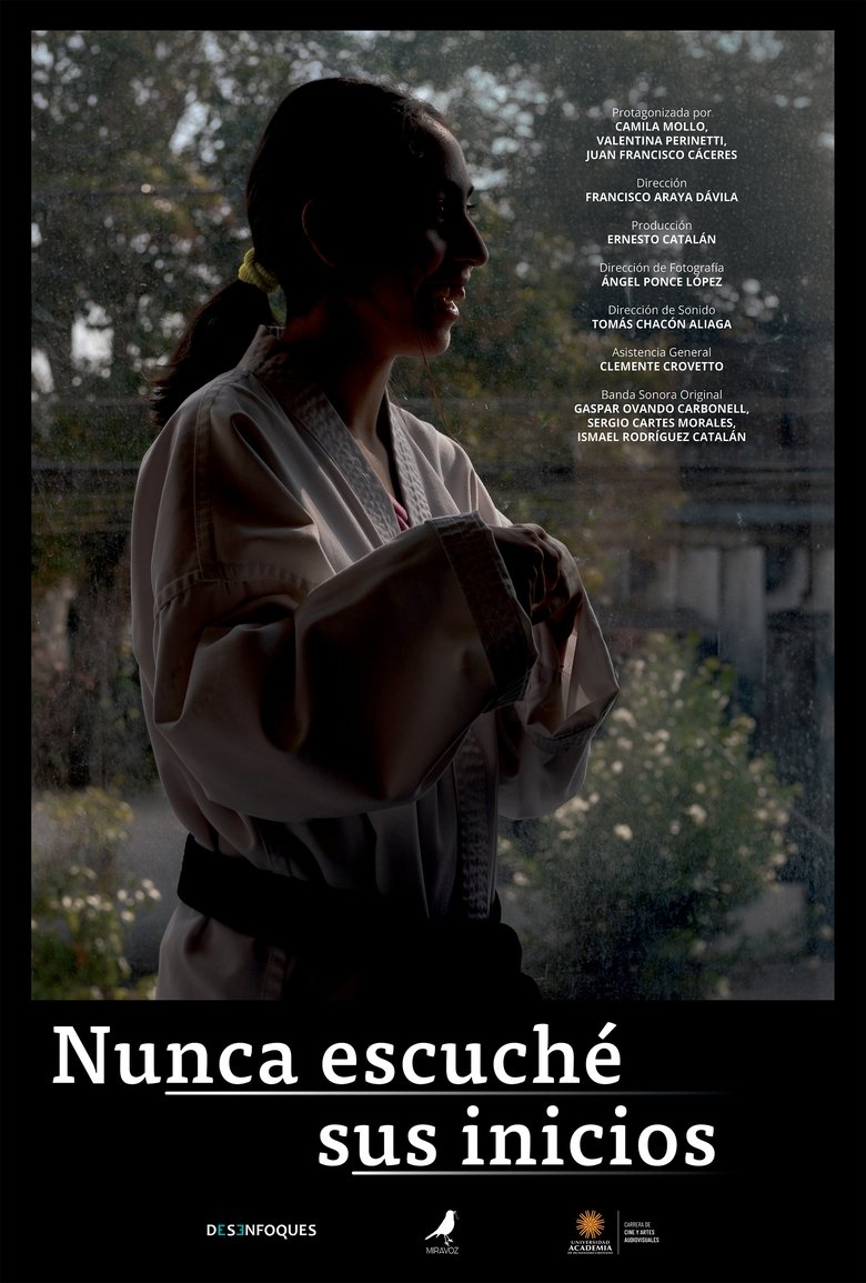 Poster of I Never Heard Their Beginnings
