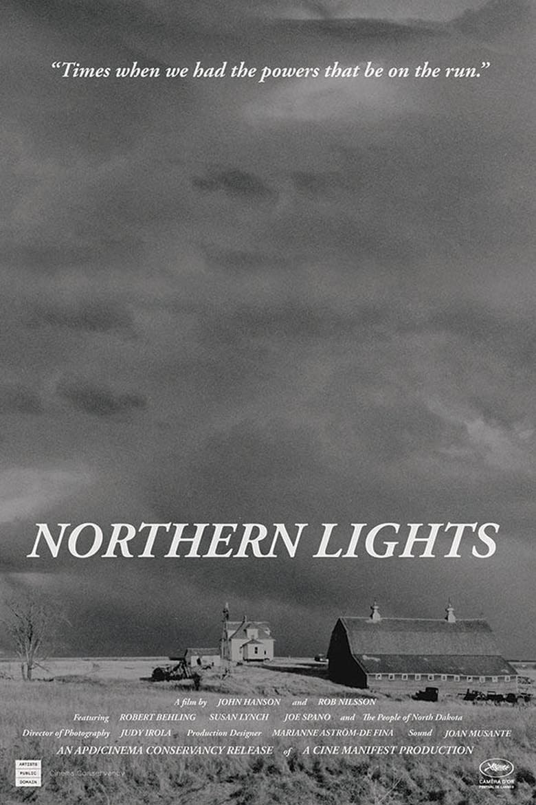 Poster of Northern Lights