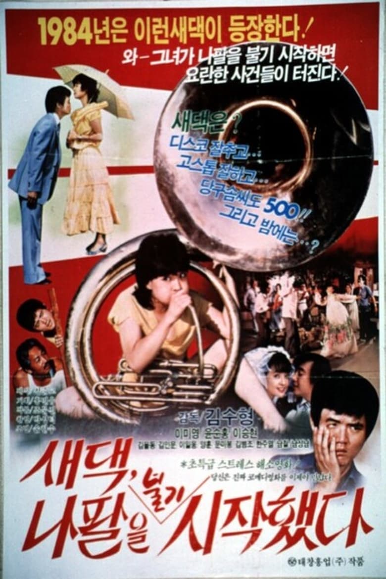 Poster of 새댁 나팔을 불기 시작했다