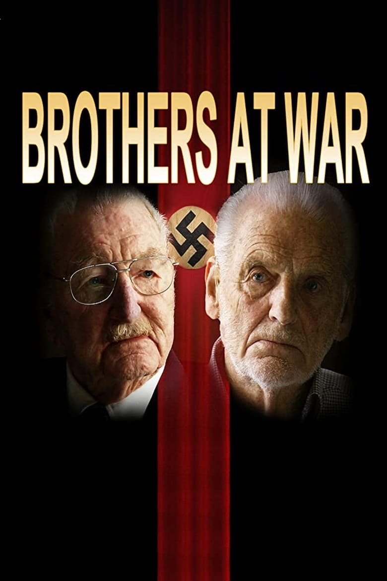 Poster of Brothers at War