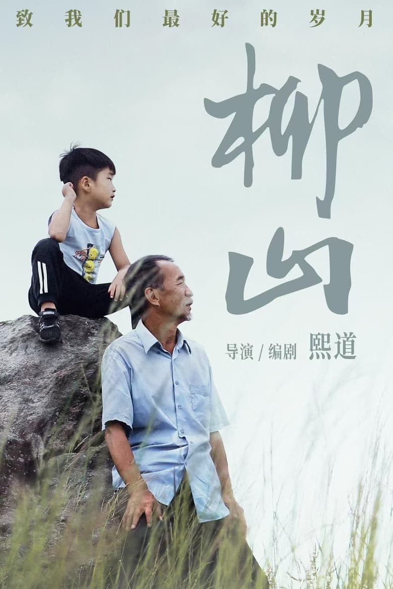 Poster of 柳山