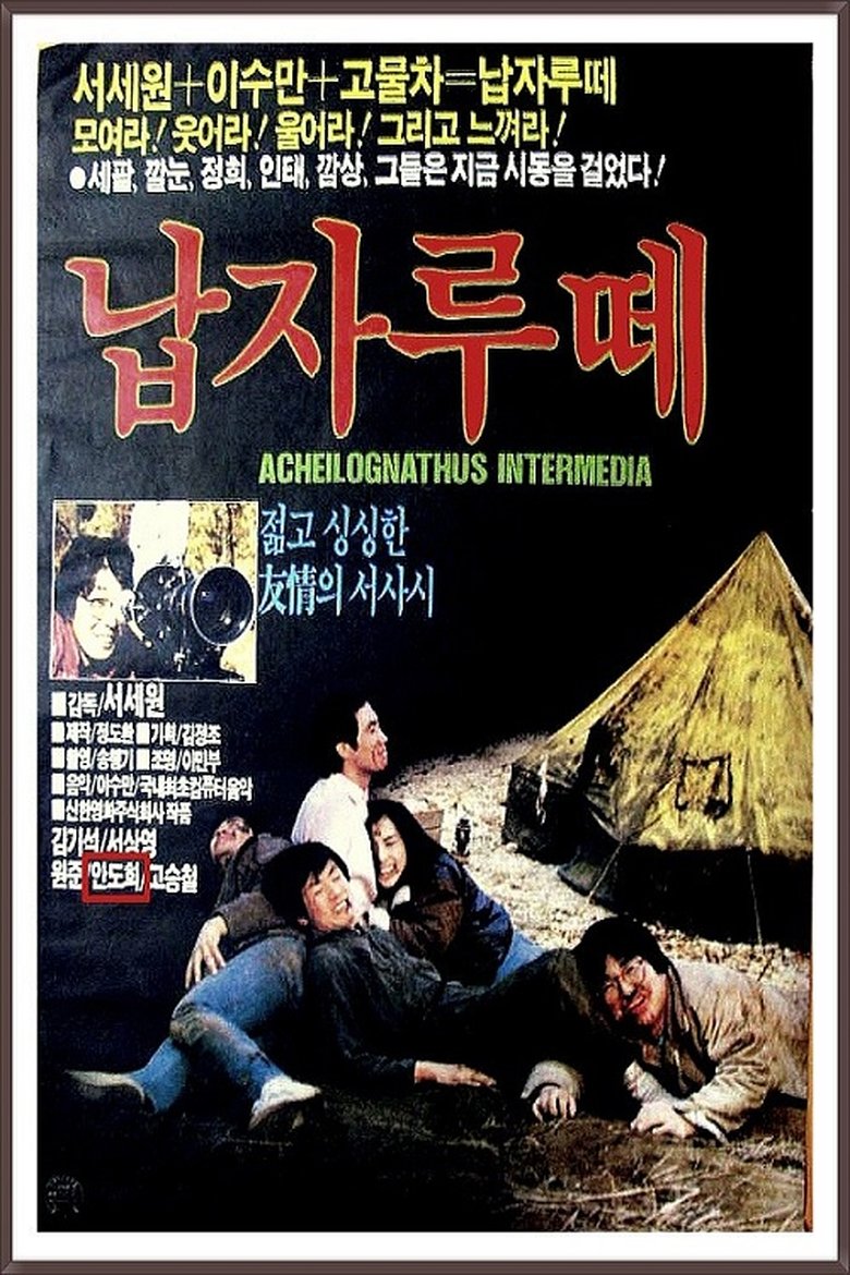 Poster of Napjarute