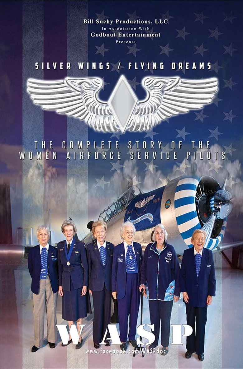 Poster of Silver Wings / Flying Dreams  - The Complete Story of the Women Airforce Service Pilots