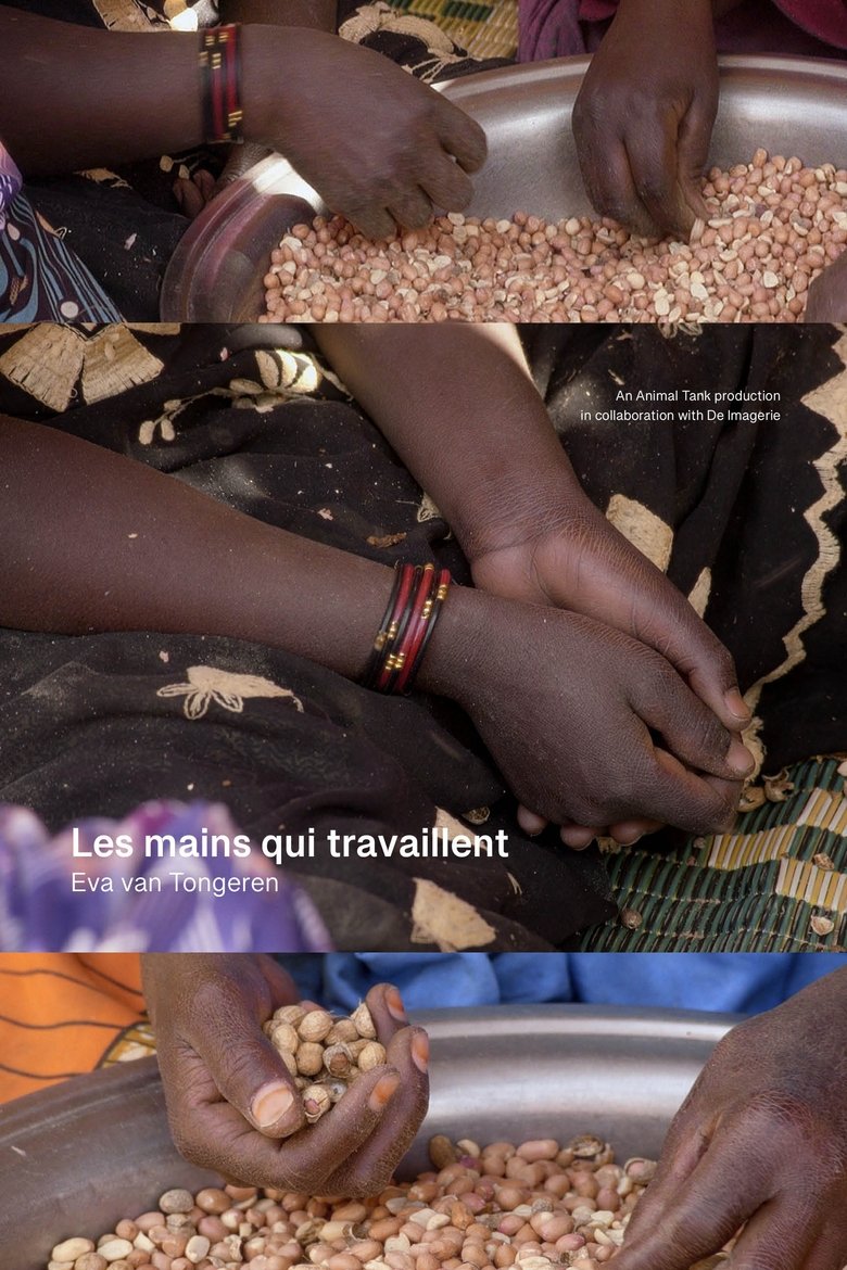 Poster of Les mains qui travaillent