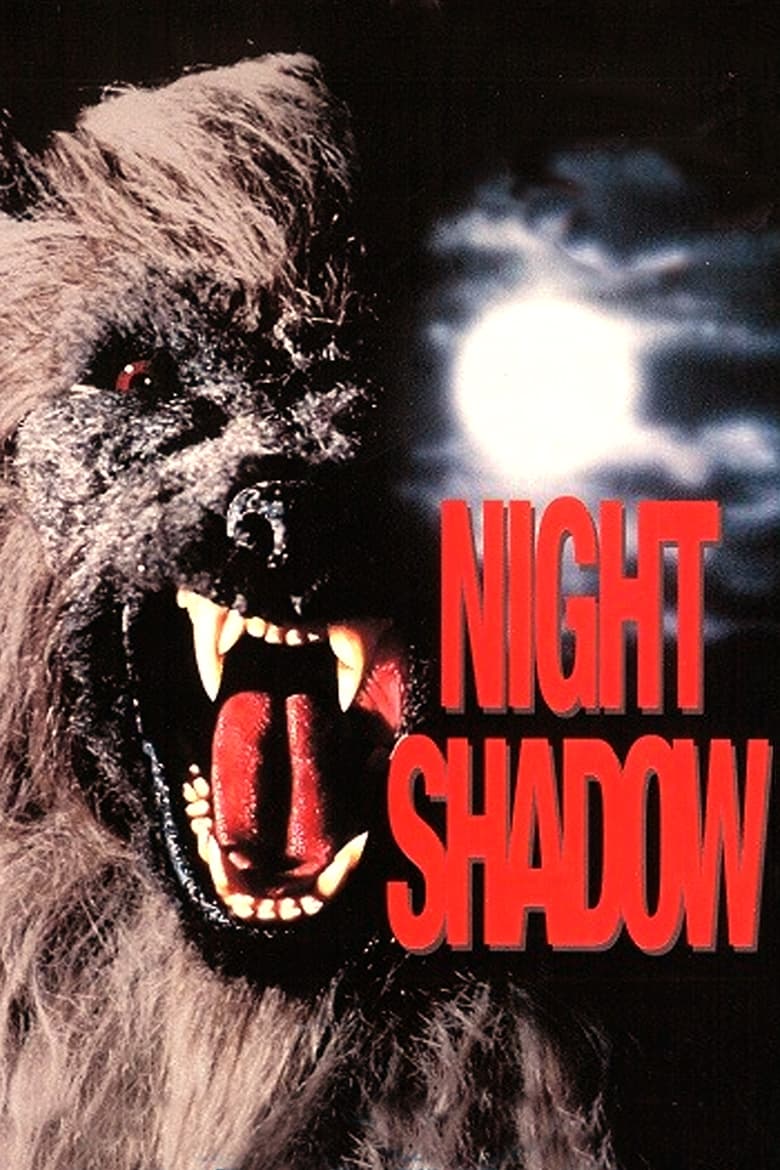 Poster of Night Shadow