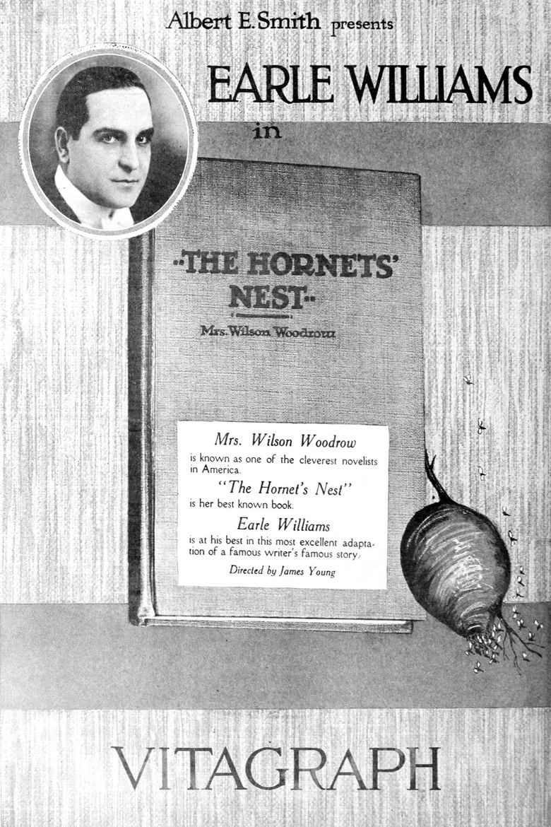 Poster of Hornet's Nest