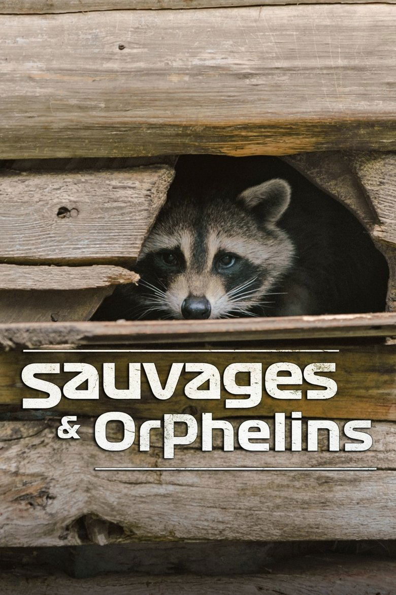Poster of Sauvages et orphelins