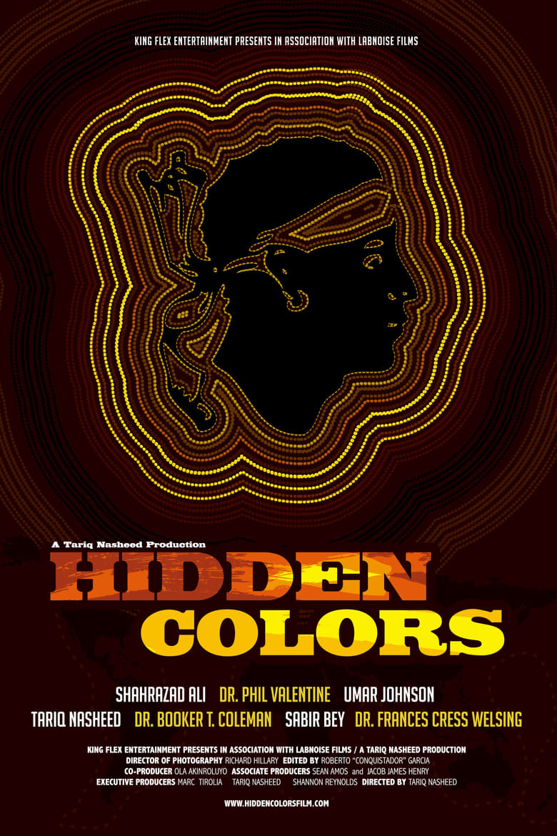 Poster of Hidden Colors