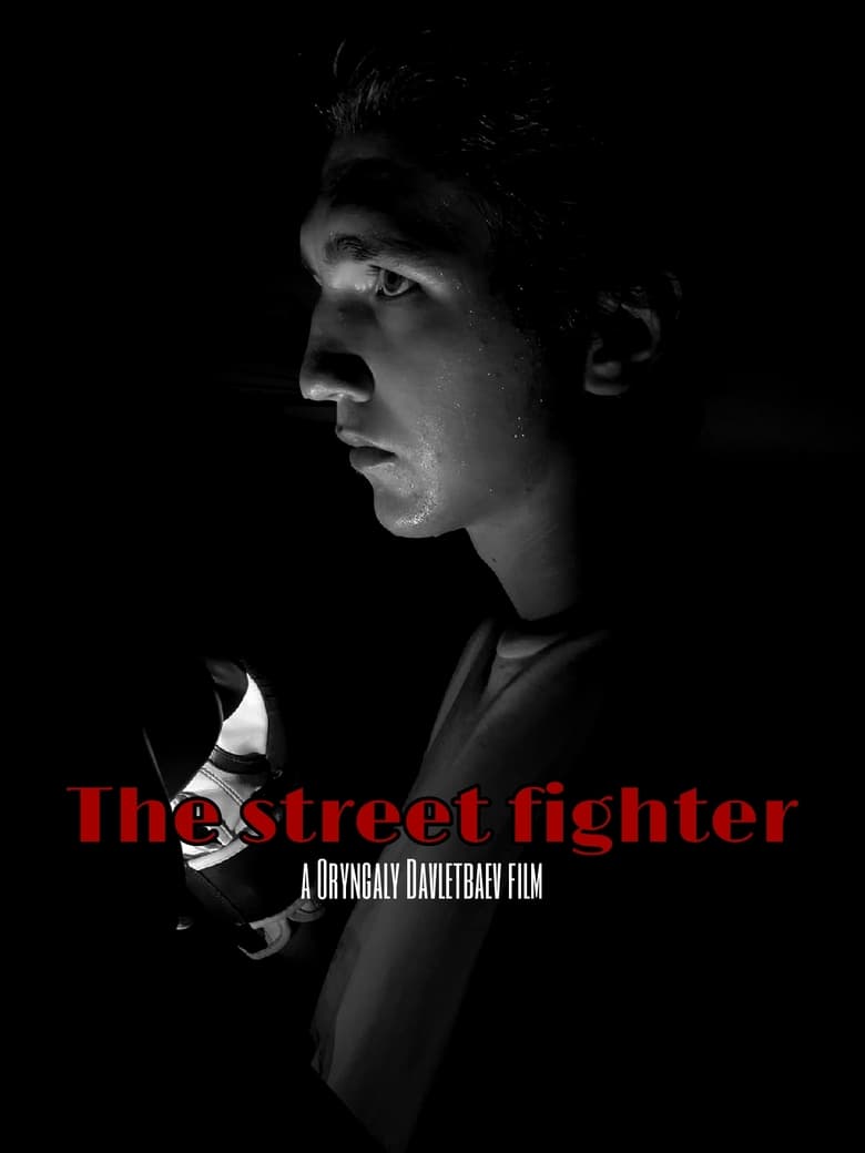 Poster of The street fighter