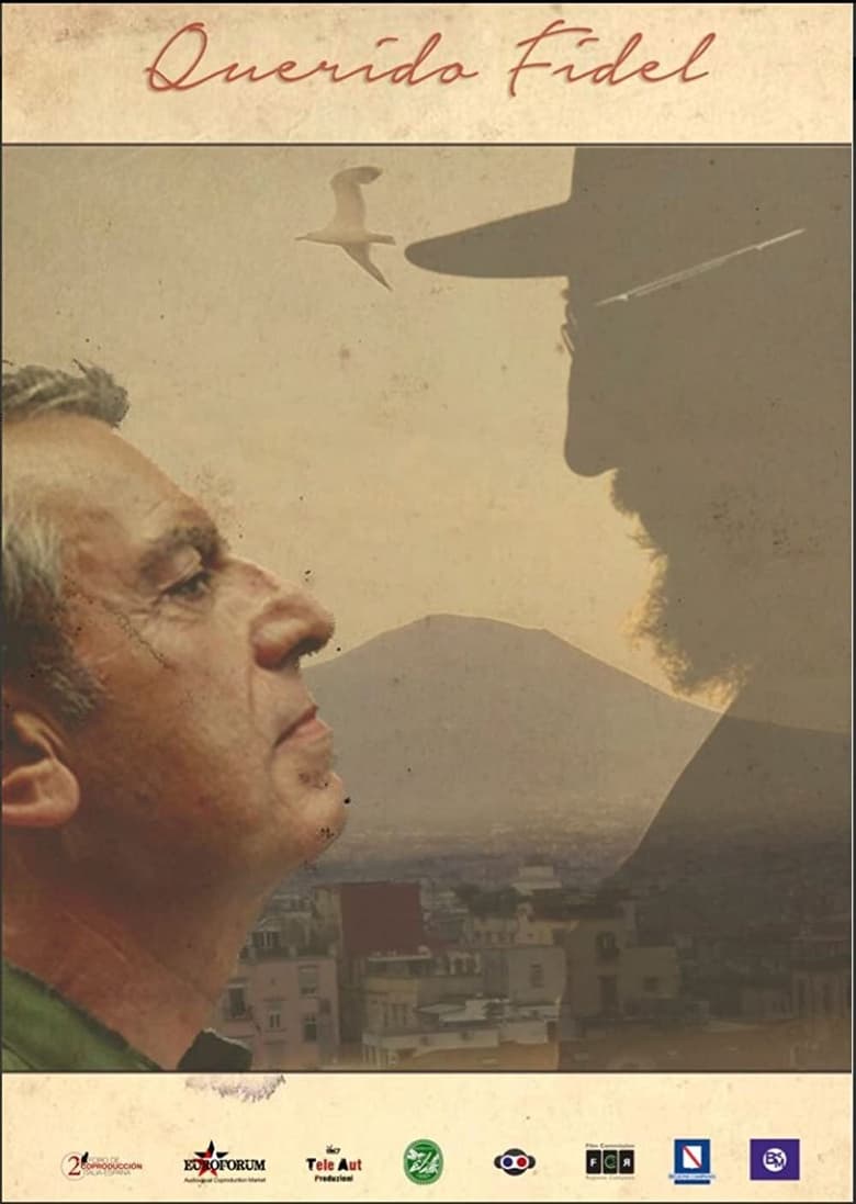 Poster of Querido Fidel