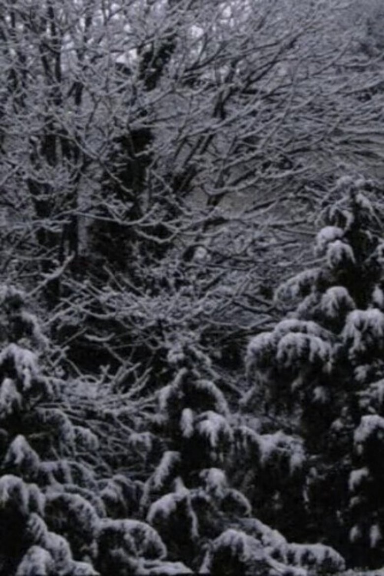 Poster of Snow Film