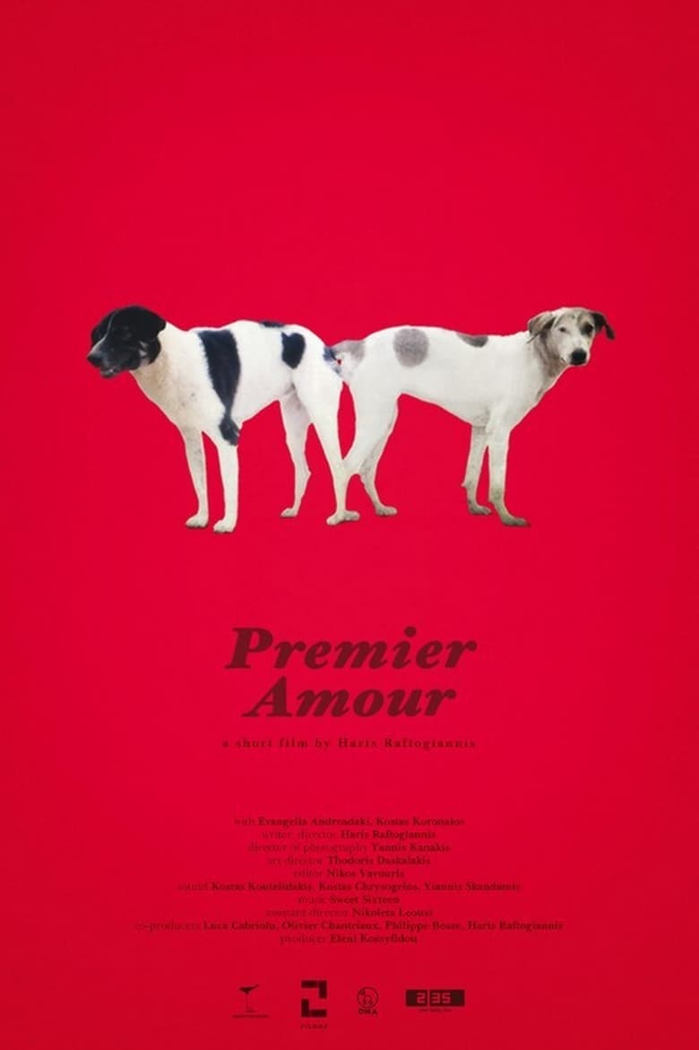 Poster of Premier Amour