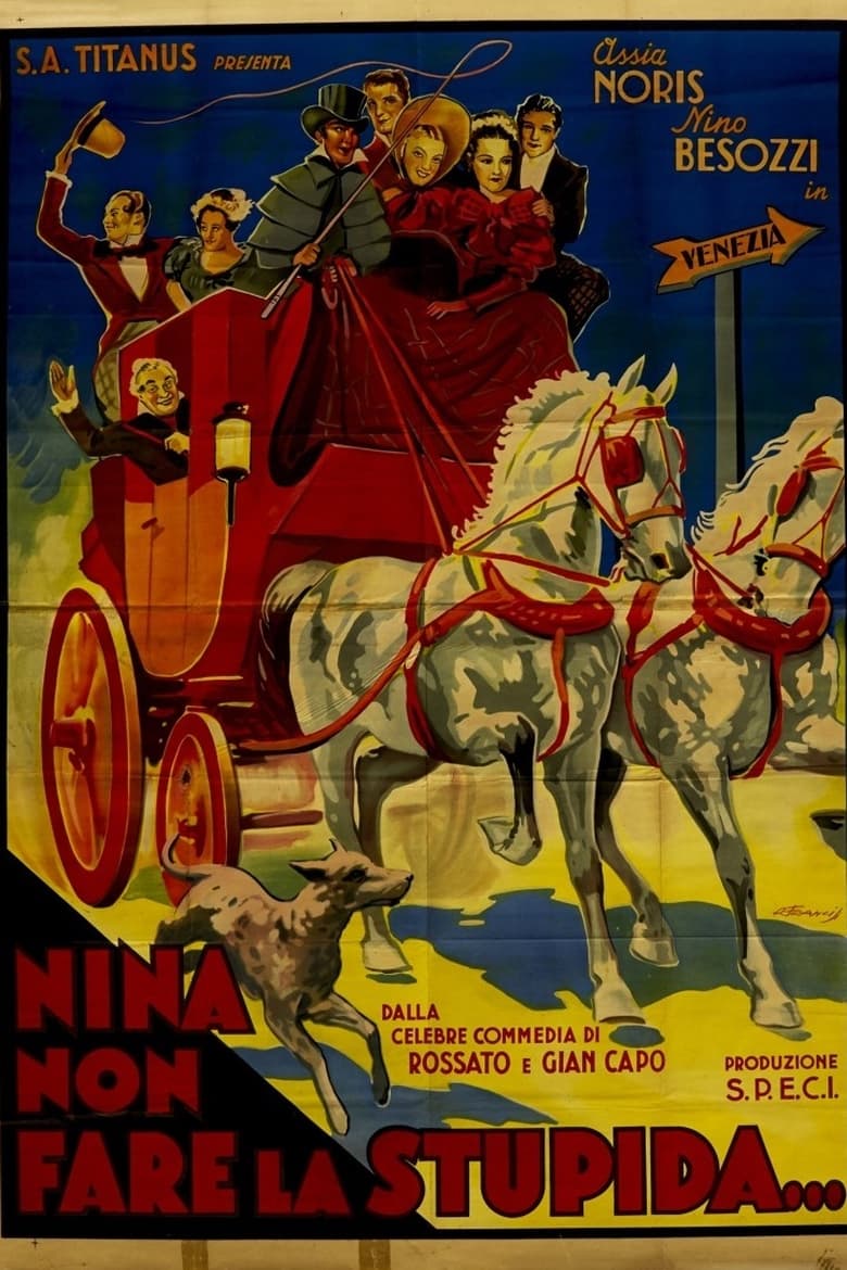 Poster of Nina, non far la stupida