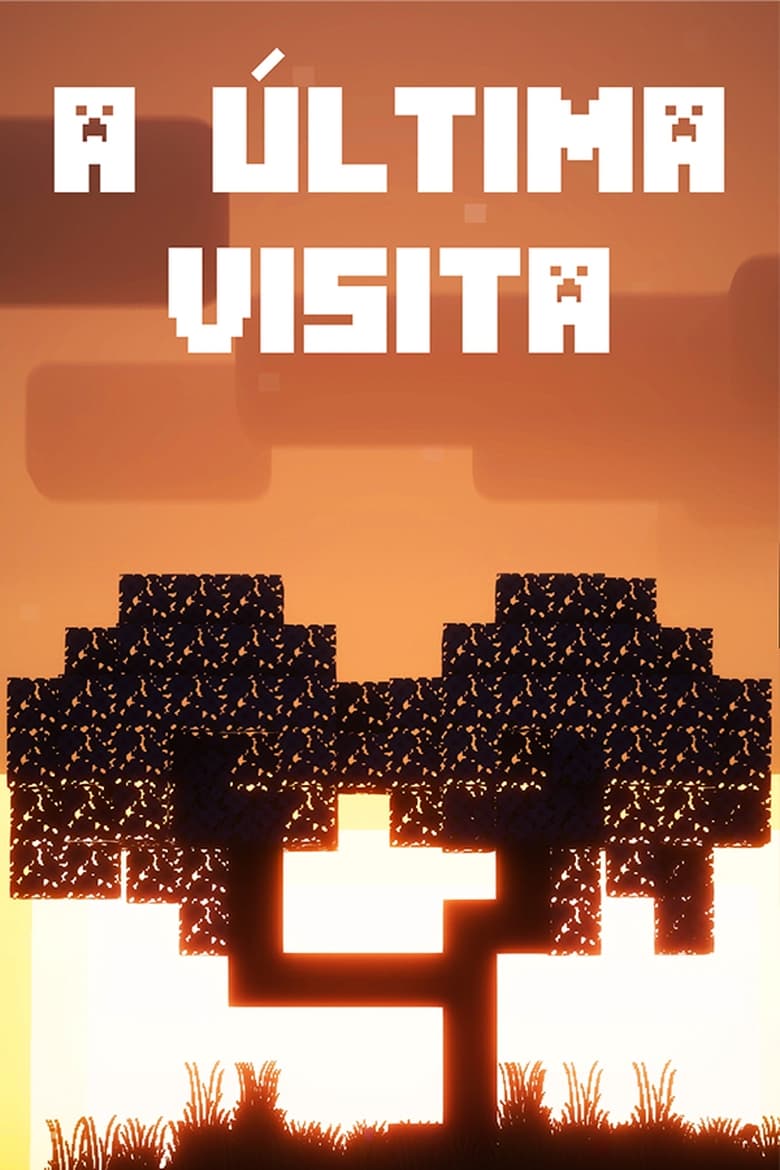 Poster of A Última Visita