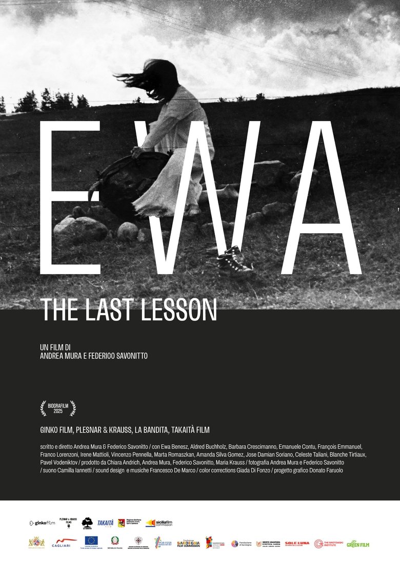 Poster of Ewa - The Last Lesson