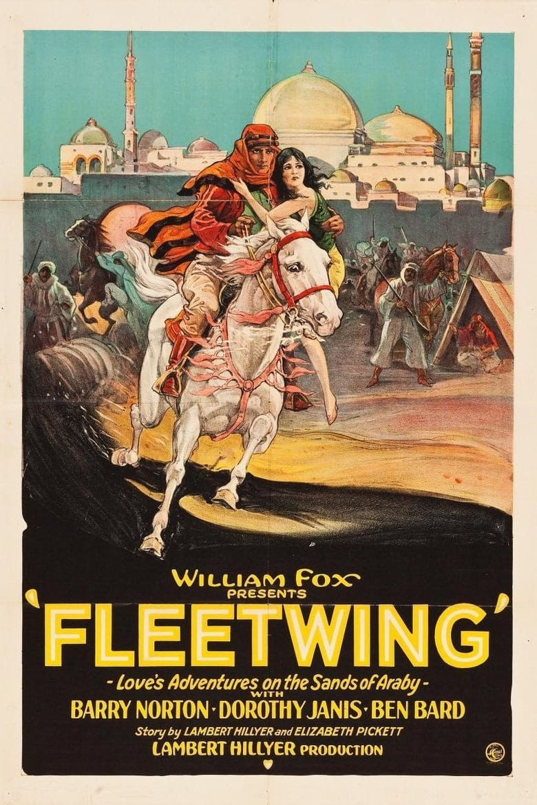 Poster of Fleetwing