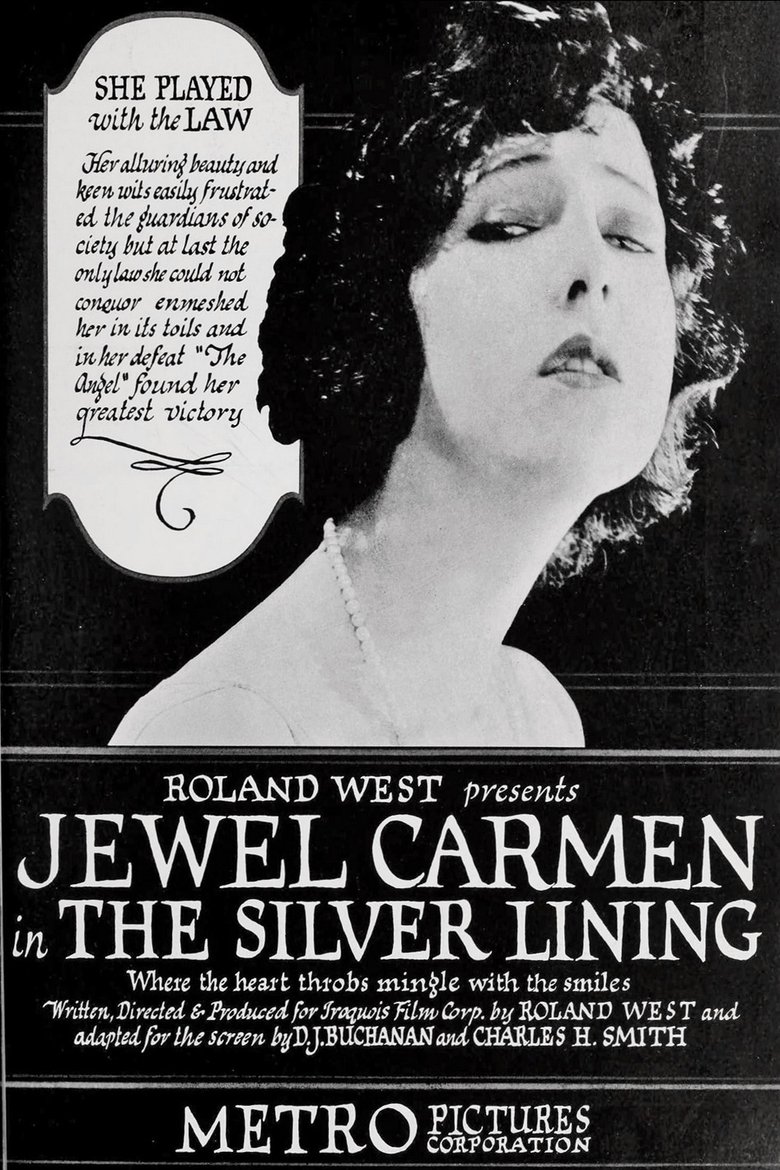 Poster of The Silver Lining