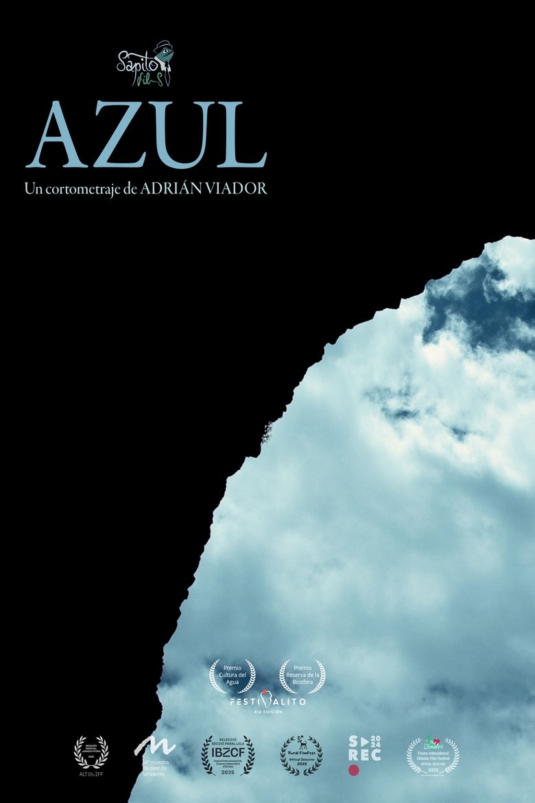 Poster of Azul