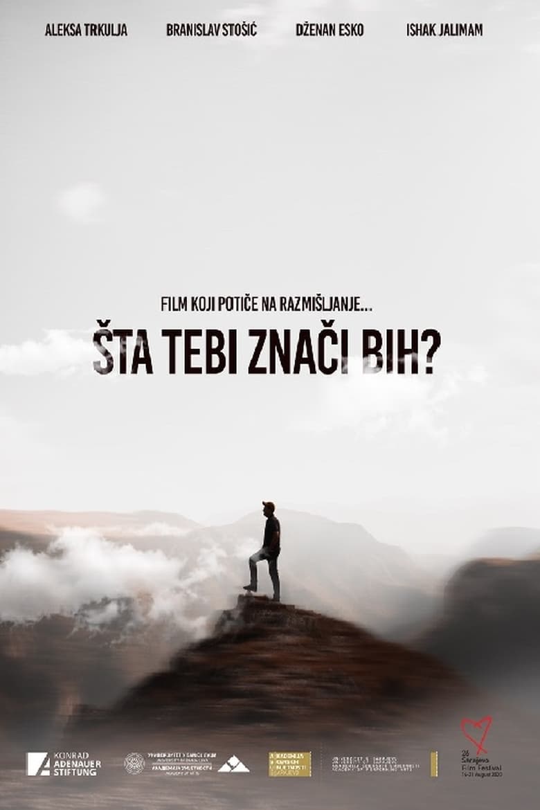 Poster of What Does Bosnia Mean to You?