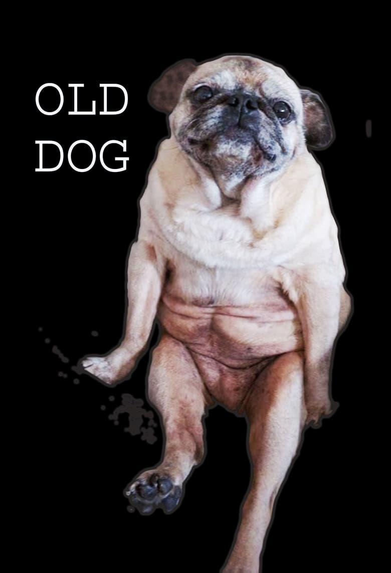 Poster of Old Dog