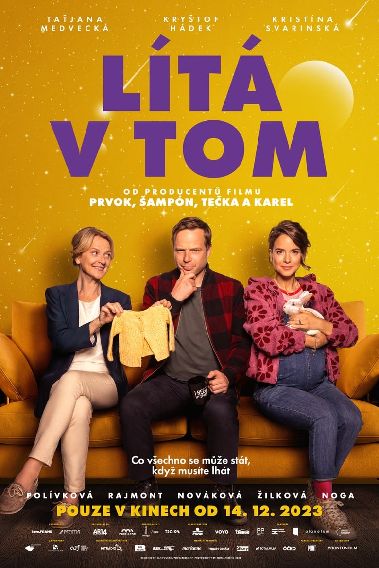 Poster of Lítá v tom