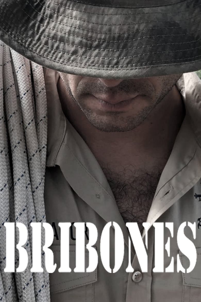 Poster of Bribones, en el corazón de la aventura