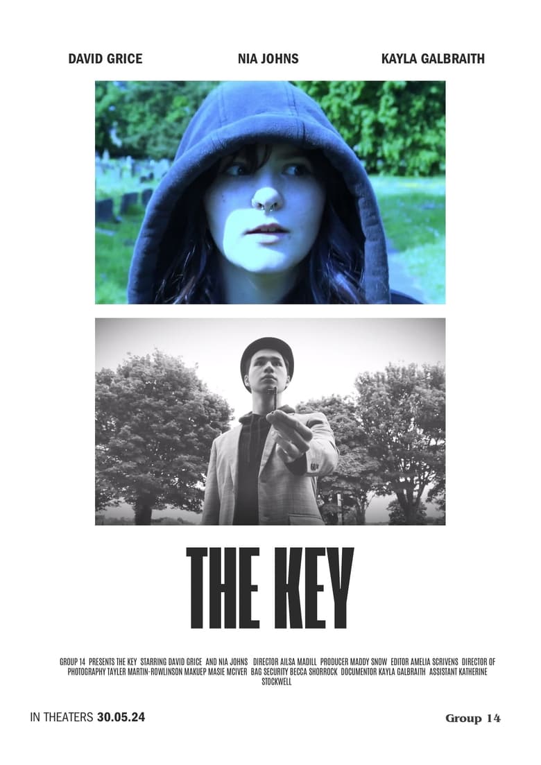 Poster of The Key