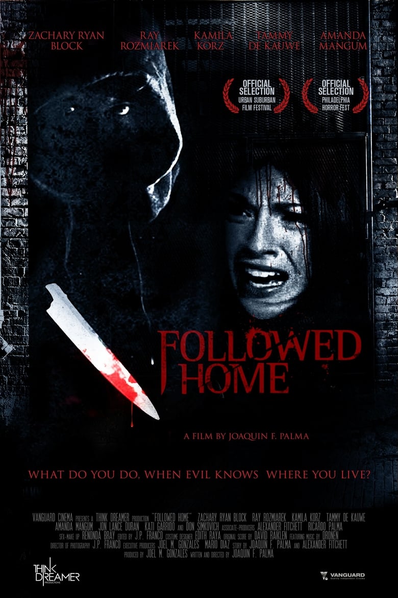 Poster of Followed Home