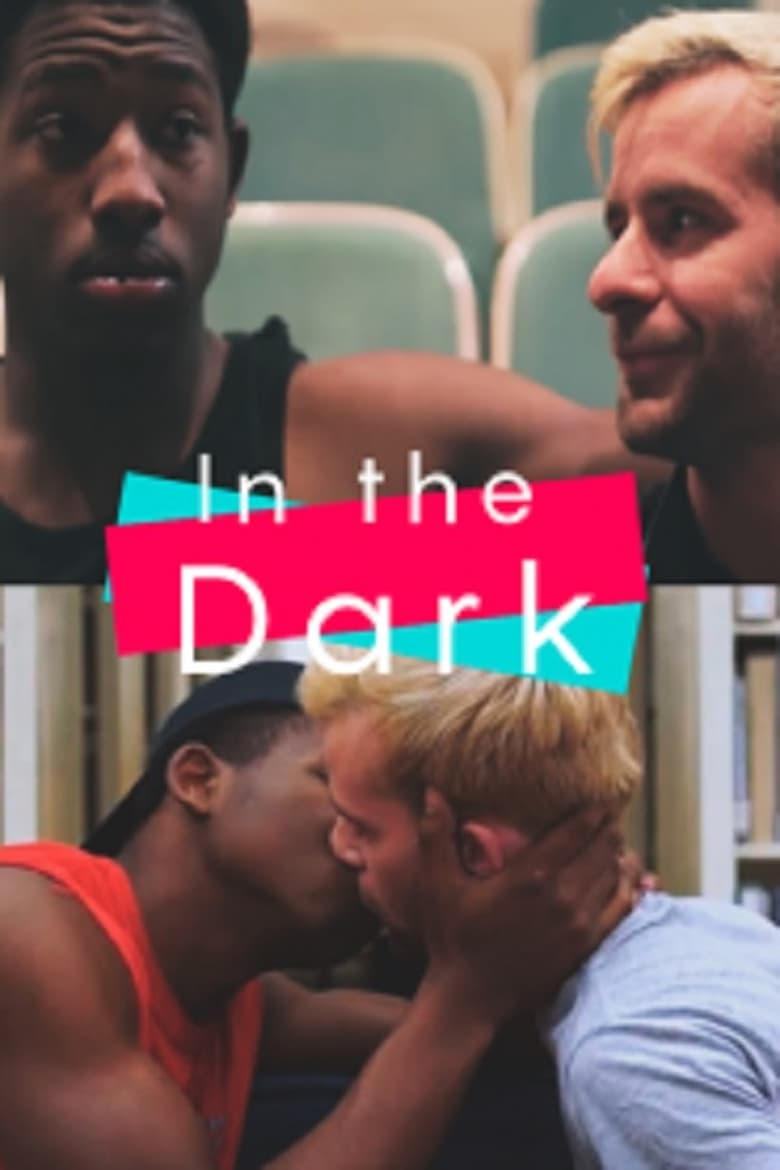 Poster of In the Dark