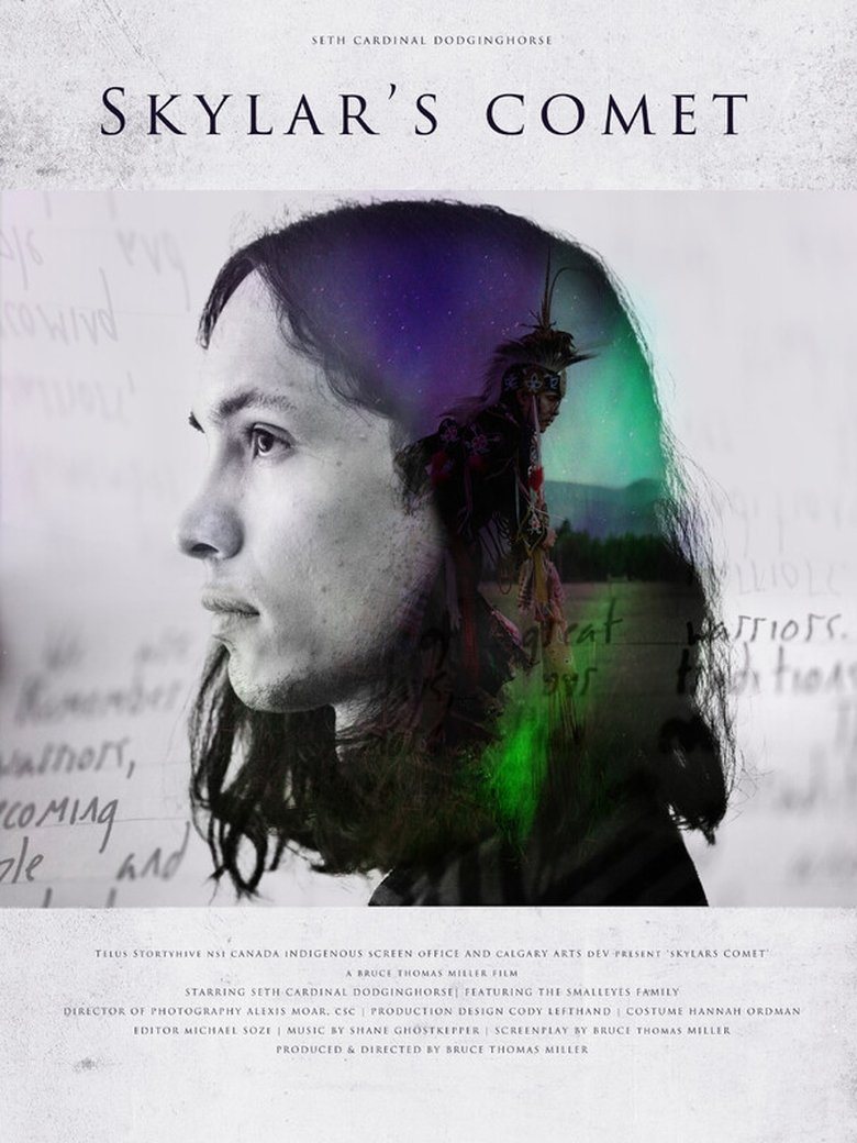 Poster of Skylar’s Comet