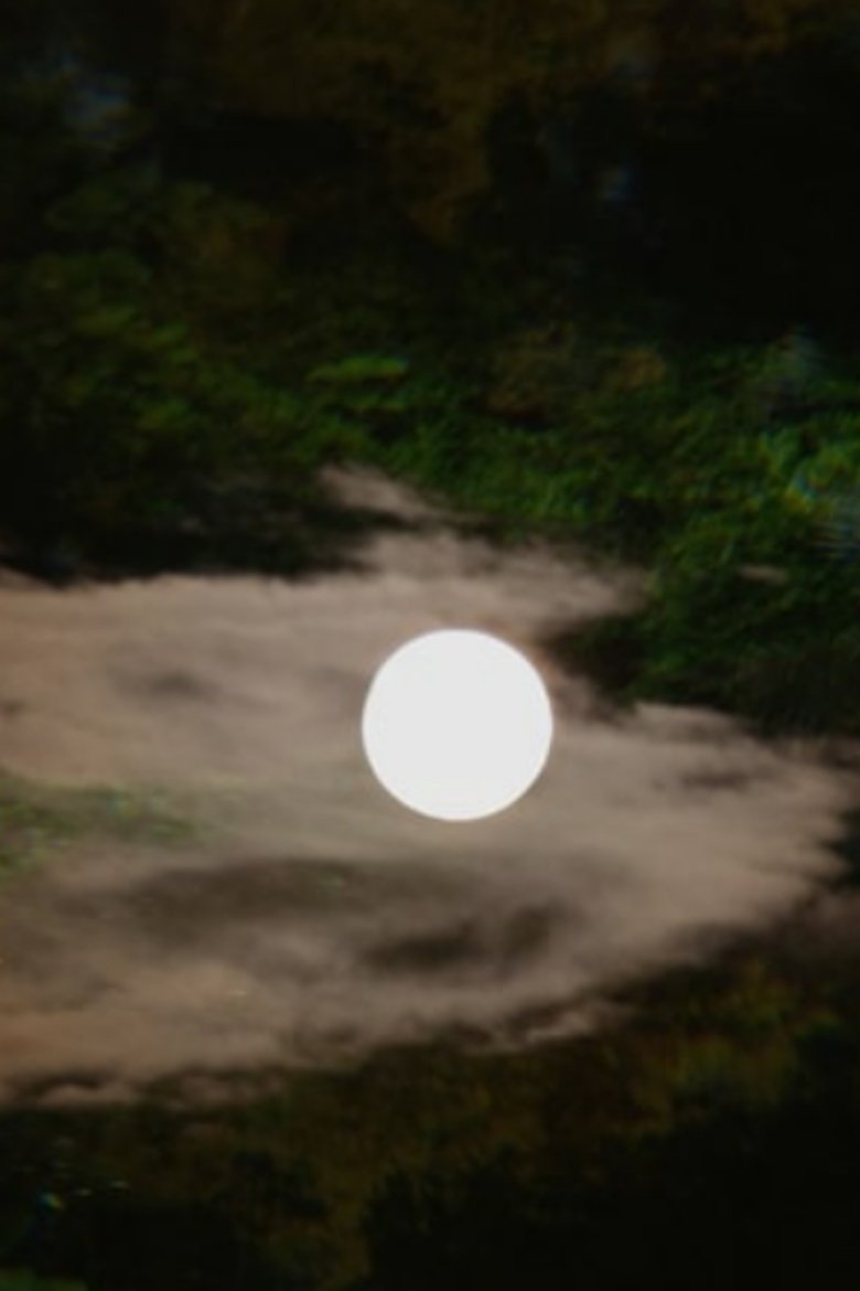 Poster of A Spell in Fairyland