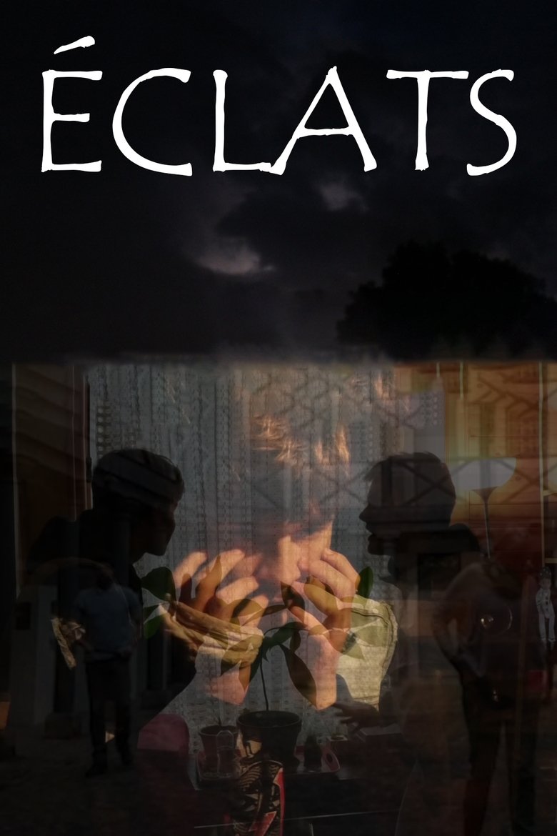 Poster of éclats