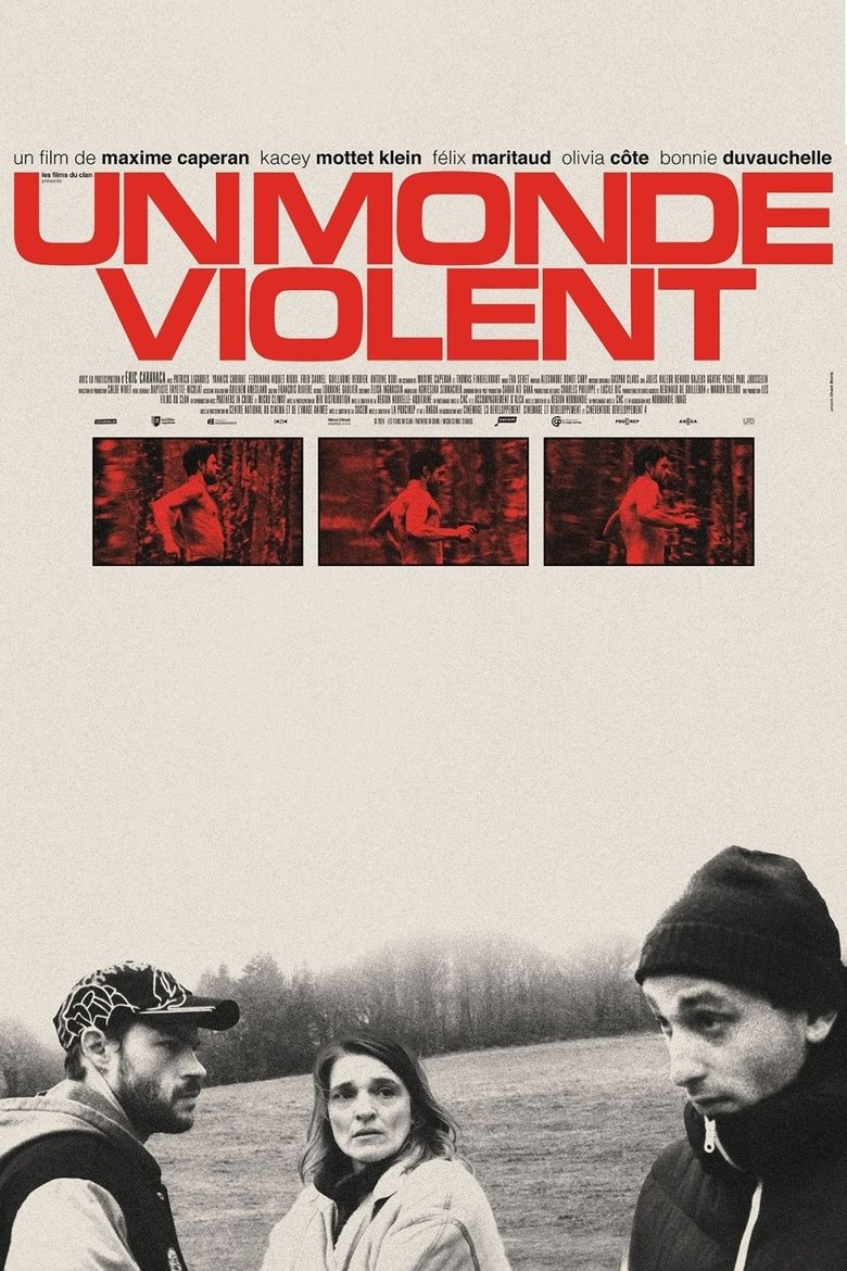Poster of A Violent World