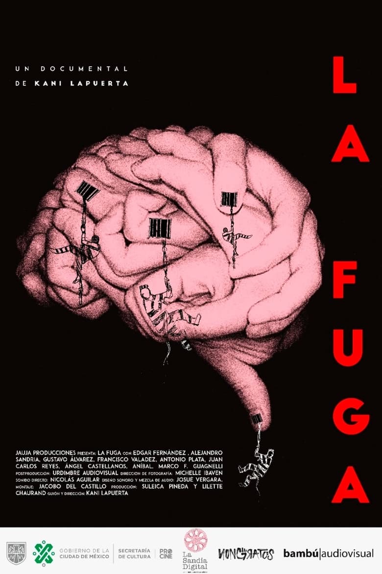 Poster of La fuga