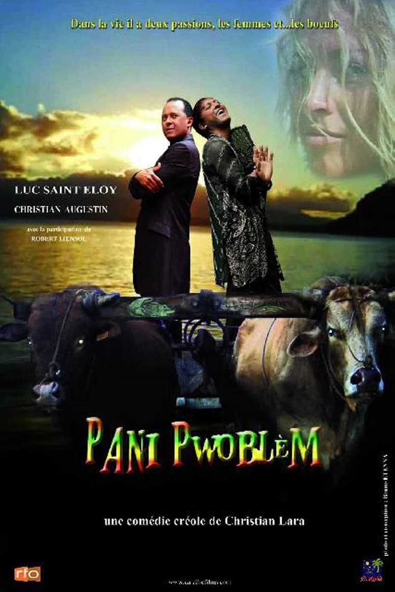 Poster of Pani pwoblem