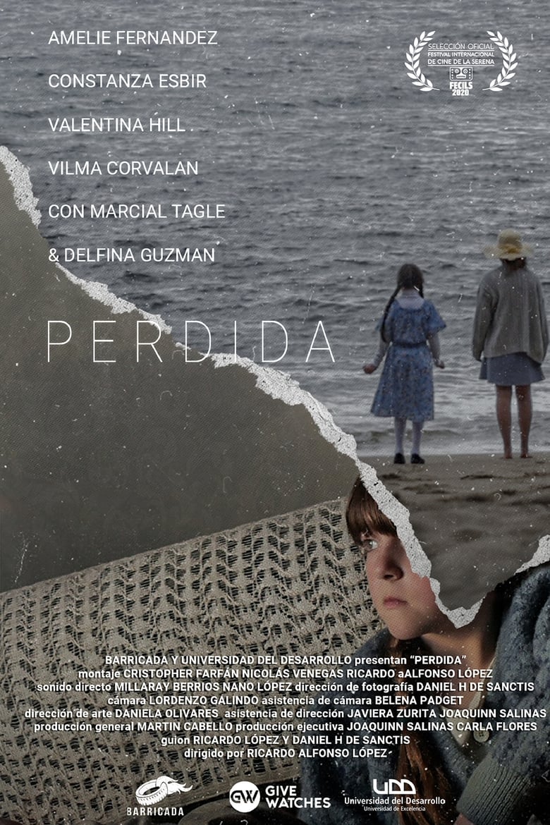 Poster of Perdida