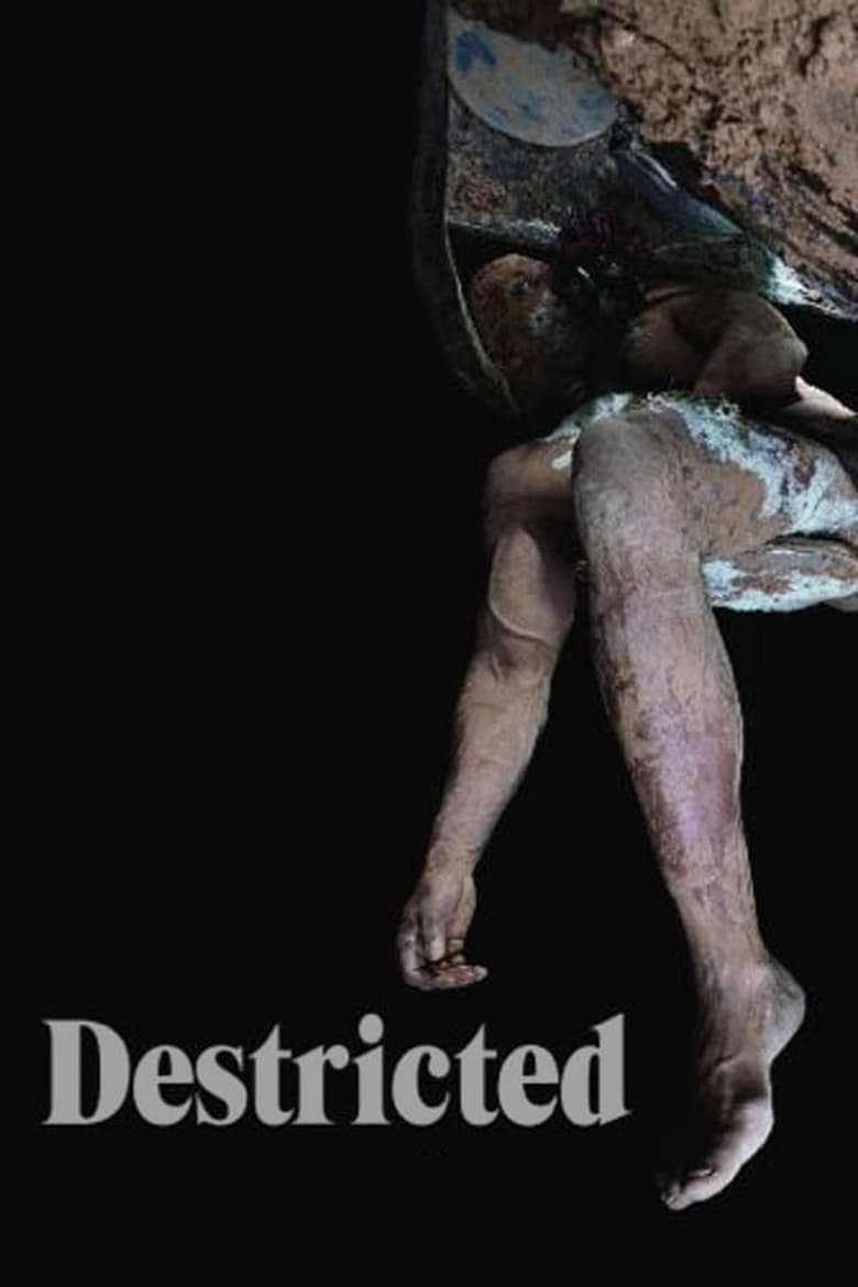 Poster of Destricted