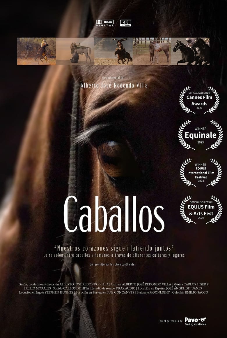 Poster of Caballos